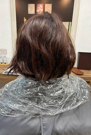 施術前のヘアスタイル2